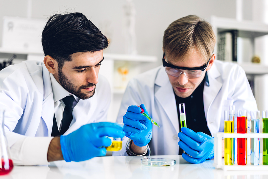Bashar Ibrahim Research career